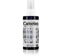 Cameleo - Spray & Go - Spray Toner - Silver Mist - Pour Cheveux Blonds, Platine, Gris - Prêt à l'emploi - Couleur Argent Semi Permanent - Coloration Instantanée - 150ml
