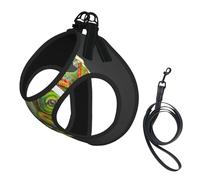 Cameleon Ensemble harnais et laisse pour chien Motif musique Écouter de la musique Petit format