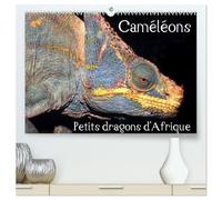 Caméléons - Petits dragons d'Afrique. (Calendrier mural 2026 DIN A2 vertical) calendrier de bureau: Douze portraits extraordinaires des plus surprenantes espèces de caméléons.