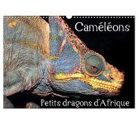 Caméléons - Petits dragons d'Afrique. (Calendrier mural 2026 DIN A3 vertical), CALVENDO calendrier mensuel: Douze portraits extraordinaires des plus surprenantes espèces de caméléons.
