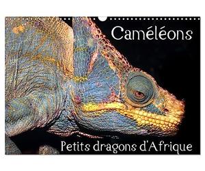 Caméléons - Petits dragons d'Afrique. (Calendrier mural 2027 DIN A3 vertical), CALVENDO calendrier mensuel: Douze portraits extraordinaires des plus surprenantes espèces de caméléons.