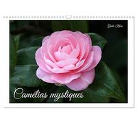 Camélias mystiques (Calendrier mural 2027 DIN A3 vertical), CALVENDO calendrier mensuel: La magie des fleurs de camélia