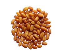 Cameline Bio - Camelina Sativa (Engrais Vert) SEM02 (Variété : Bio 40 grammes)