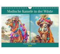 Camels tendance dans le désert - Points forts extravagants (calendrier mural 2026 DIN A4 paysage) - Calendrier mensuel CALVENDO