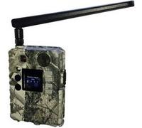 Caméra de chasse Berger & Schröter 4G/LTE BG310-M Wildkamera 18 MP, 940nm 18 Mill. pixel Transfert d'images 4G, enregistrement