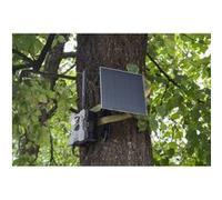 Caméra de chasse Technaxx TX-189 Transfert dimages 4G, LED sans lueur, enregistrement sonore vert-marron, vert-noir (fluorescent) Noir G