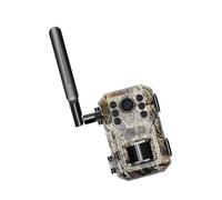 Caméra d'observation de la faune 720p 4G Connexion Nocturnalvision Transducteur de mouvement Plan imperméable Chargement solaire Prêt à installer rapidement Boîtier ABS Caméra d'extérieur