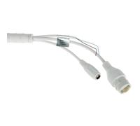 Caméra IP PTZ Smart Dual Light Picoo P3AE-PV-4G-EUR