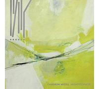 Cameron Mizell - Negative Spaces