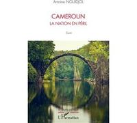 Cameroun la nation en péril Antoine Nguidjol (Auteur)
