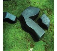Camila Fuchs - Heart Pressed Between Stones [Import]