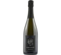 Camilucci Franciacorta Ammonites Brut Nature
