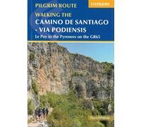 Camino de santiago via podiensis Dave Whitson (Auteur)