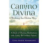 Camino Divina--Walking The Divine Way
