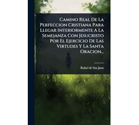 Camino Real De La Perfeccion Cristiana Para Llegar Interiormente A La Semejanza Con Jesucristo Por El Ejercicio De Las Virtudes Y La Santa Oracion...