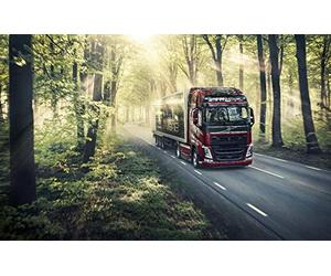 Camion géant sur la Route forestière - Puzzle de 2000 pièces pour Adultes et Enfants (100 x 70 cm)