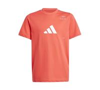 Camiseta Adidas Performance Graphic Jd6014 Junior 164 164
