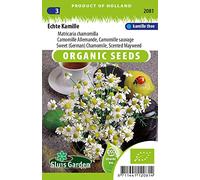 Camomille Allemande - Graines Biologiques