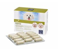 Camon Hybrid 60 Cpr Complément Contre Yeux Larmoyants Et Mauvaise Haleine En Dog