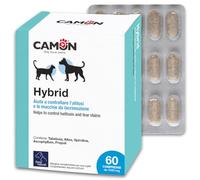 CAMON | Hybrid, contrôle et prévient l'halitose des Chiens et des Chats, maintient Le pH physiologique des muqueuses, 60 comprimés