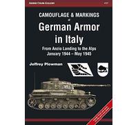 Camouflage & Markings Of German Armor In Italy