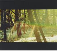 Camp [Explicit] by Childish Gambino (2011-11-15)