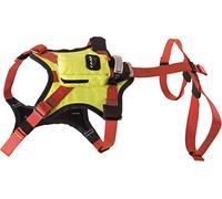 Camp Harnais pour Chien Kronos