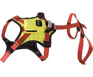 Camp Harnais pour Chien Kronos