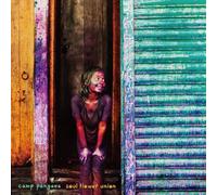 Camp Pangaea [Import]