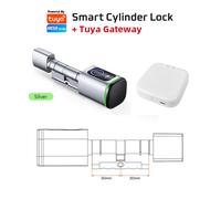 Campagnes De Charles Iv, Duc De Lorraine Et De Bar, En Allemagne, En Lorraine Et En Franche-Comté, 1634-1638