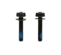 Campagnolo 20-24mm 2P Fixing Screw Taille unique Noir