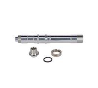 Campagnolo 2655170350 Axe Mixte Adulte, Argent Taille Unique