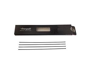 Campagnolo 8056734280913 Rayons Mixte, Noir