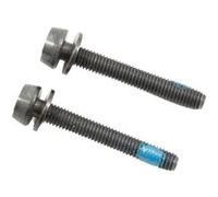 Campagnolo boulons pour étrier de frein à disque arrière 39 mm 2 pièces G