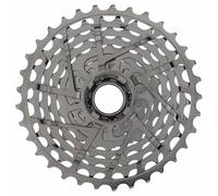 Campagnolo Cassette Super Record 13s Argenté 10-48t