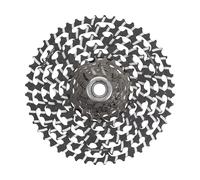 Campagnolo Record X Wrl Cassette Argenté 13s / 10-48t