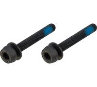 Campagnolo Vis de Fixation pour Étrier de Frein noir M5x34