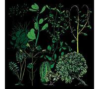 Campdogzz - in Rounds