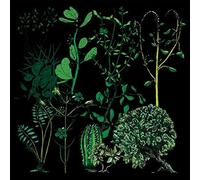 Campdogzz - In Rounds [CD]