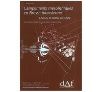 Campements Mésolithiques En Bresse Jurassienne : Choisey Et Ruffey-Sur-Seille