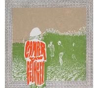 Camper Van Beethoven - Telephone Free Landslide Victory [Vinyl Lp] Colored Vinyl, Green, Anniversary Ed