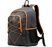 CampFeuer Sac Isotherme réfrigéRant 30 litres|| léger et imperméable | Gris | pour barbecues, Camping, Plage, activité Outdoor | Glacière Lunch Box Isotherme, Sac gamelle Isotherme, Lunch Box