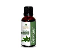 CAMPHOR OIL 100% Pure Undiluted Natural Uncut Therapeutic Grade Steam Distilled Essential Oils For Skin, Hair And Aromatherapy 500ML