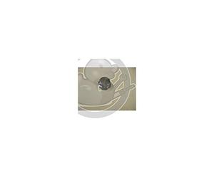 CAMPINGAZ Bouton X2 3-4 séries RBS barbecue 5010002245