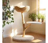 CAMTTIR Arbre à chat en bois naturel - Niche moderne avec balle suspendue, paniers confortables, griffoirs, pour grands chats d'intérieur, mobilier esthétique en bois massif (88,9 cm de haut)