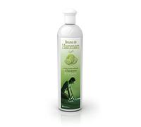 Camylle - Brume de Hammam Eucalyptus - Fragrances à base d'Huiles Essentielles pour Hammams, Bains de Vapeur ou Douches Hammam - Respiratoire aux arômes frais et pénétrants - 500ml
