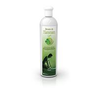 Camylle - Brume de Hammam Eucalyptus/Menthe - Fragrances à base d'Huiles Essentielles pour Hammams, Bains de Vapeur ou Douches Hammam - Rafraîchissant aux arômes frais et stimulants - 500ml