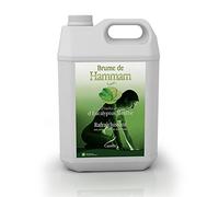Camylle - Brume de Hammam Eucalyptus/Menthe - Fragrances à base d'Huiles Essentielles pour Hammams, Bains de Vapeur ou Douches Hammam - Rafraîchissant aux arômes frais et stimulants - 5000ml