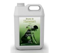 Camylle - Brume de Hammam Méditerranée - Fragrances à base d'Huiles Essentielles pour Hammams, Bains de Vapeur ou Douches Hammam - Equilibrant aux arômes frais et fleuris - 5000ml