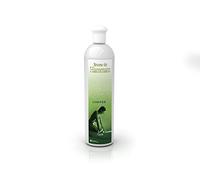 Camylle - Brume de Hammam Orange Cannelle - Fragrances à base d'Huiles Essentielles pour Hammams, Bains de Vapeur ou Douches Hammam - Réconfortant aux arômes chauds et épicés - 500ml